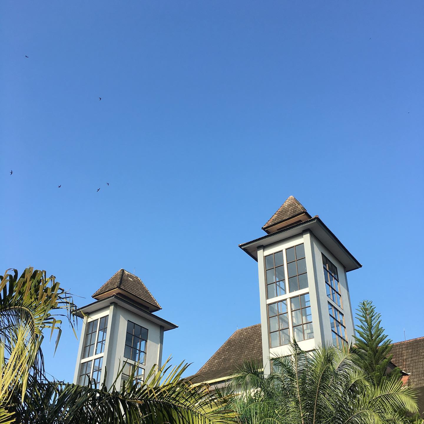 Faculty of Economics and Business University of Jember
